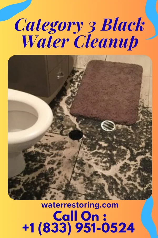 Category 3 Black Water Cleanup in Okolona, MS