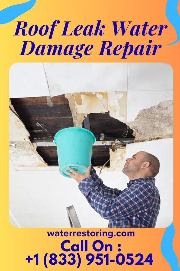 Roof Leak Water Damage Repair in Okolona, MS